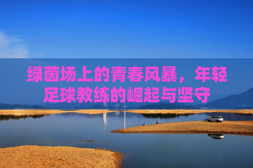 绿茵场上的青春风暴，年轻足球教练的崛起与坚守
