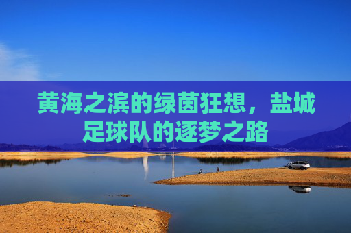 黄海之滨的绿茵狂想，盐城足球队的逐梦之路