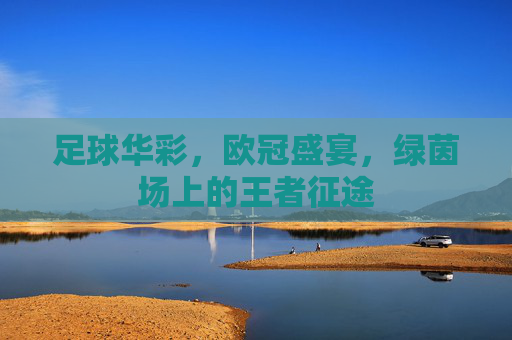 足球华彩，欧冠盛宴，绿茵场上的王者征途