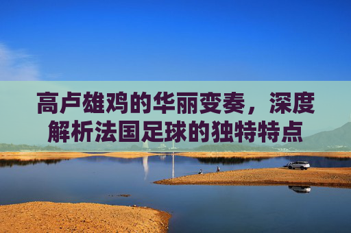 高卢雄鸡的华丽变奏，深度解析法国足球的独特特点