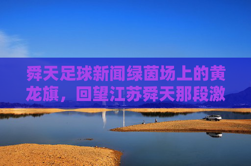 舜天足球新闻绿茵场上的黄龙旗，回望江苏舜天那段激情燃烧的岁月
