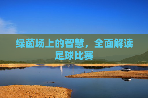 绿茵场上的智慧，全面解读足球比赛