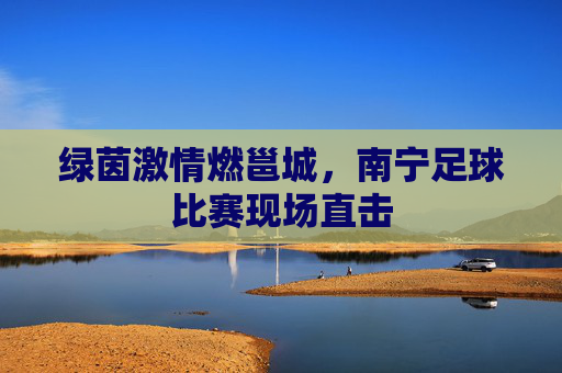 绿茵激情燃邕城，南宁足球比赛现场直击