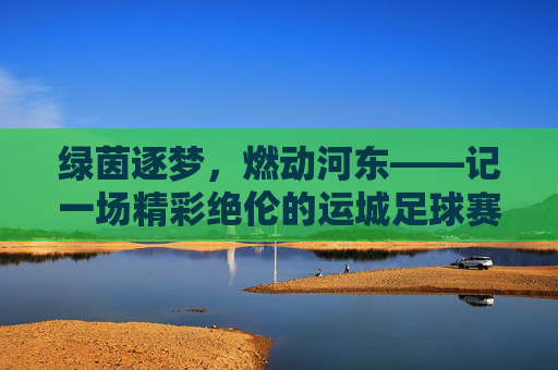 绿茵逐梦，燃动河东——记一场精彩绝伦的运城足球赛