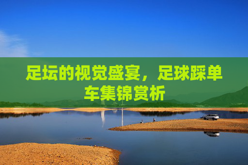 足坛的视觉盛宴，足球踩单车集锦赏析