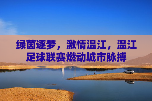 绿茵逐梦，激情温江，温江足球联赛燃动城市脉搏