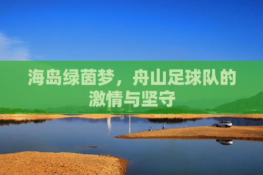 海岛绿茵梦，舟山足球队的激情与坚守