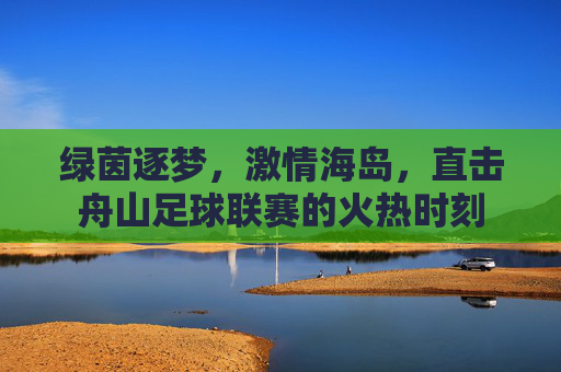 绿茵逐梦，激情海岛，直击舟山足球联赛的火热时刻
