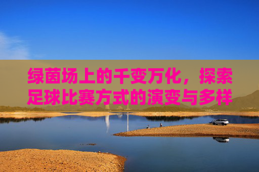 绿茵场上的千变万化，探索足球比赛方式的演变与多样性
