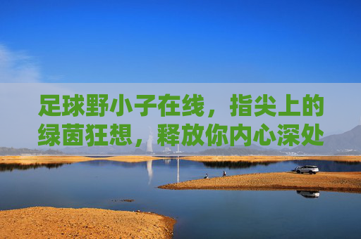 足球野小子在线，指尖上的绿茵狂想，释放你内心深处的野性
