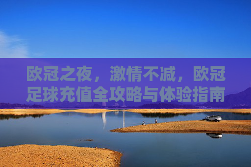 欧冠之夜，激情不减，欧冠足球充值全攻略与体验指南