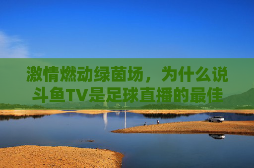 激情燃动绿茵场，为什么说斗鱼TV是足球直播的最佳观赛平台？