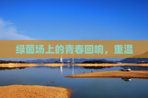 绿茵场上的青春回响，重温