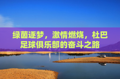 绿茵逐梦，激情燃烧，杜巴足球俱乐部的奋斗之路
