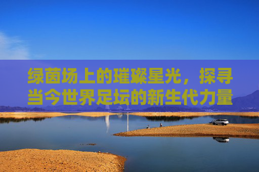绿茵场上的璀璨星光，探寻当今世界足坛的新生代力量
