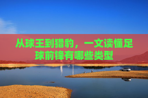 从球王到猎豹，一文读懂足球前锋有哪些类型