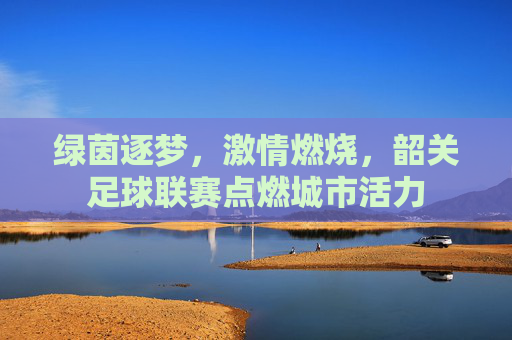 绿茵逐梦，激情燃烧，韶关足球联赛点燃城市活力