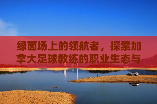 绿茵场上的领航者，探索加拿大足球教练的职业生态与未来