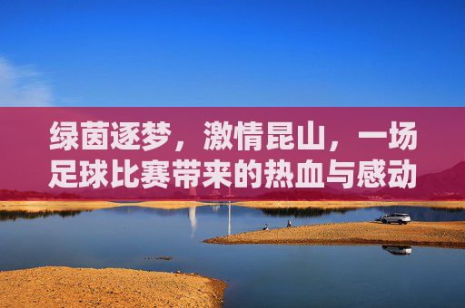 绿茵逐梦，激情昆山，一场足球比赛带来的热血与感动