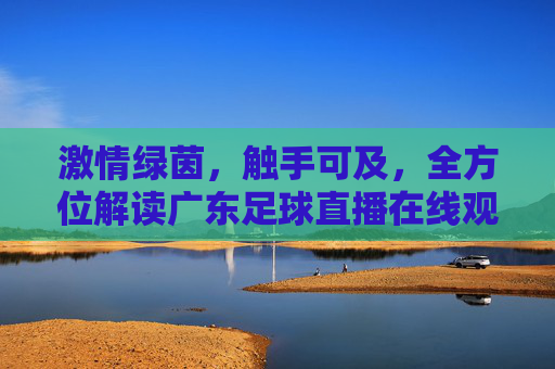 激情绿茵，触手可及，全方位解读广东足球直播在线观赛指南