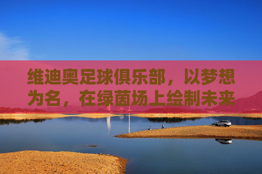 维迪奥足球俱乐部，以梦想为名，在绿茵场上绘制未来
