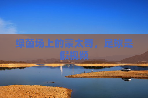 绿茵场上的蒙太奇，足球是假视频
