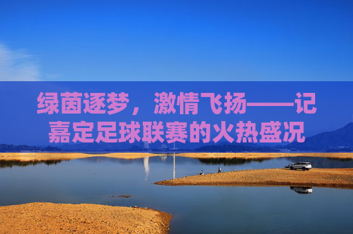 绿茵逐梦，激情飞扬——记嘉定足球联赛的火热盛况
