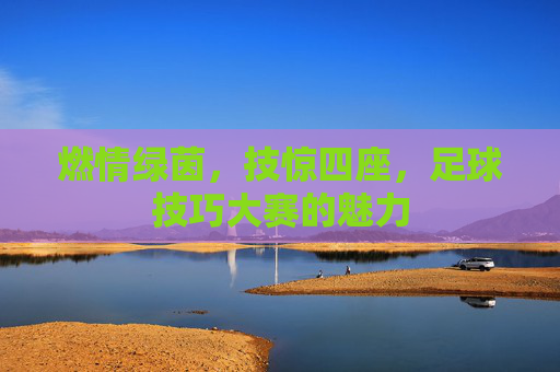 燃情绿茵，技惊四座，足球技巧大赛的魅力