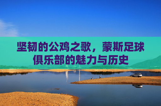 坚韧的公鸡之歌，蒙斯足球俱乐部的魅力与历史