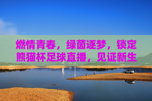 燃情青春，绿茵逐梦，锁定熊猫杯足球直播，见证新生代力量