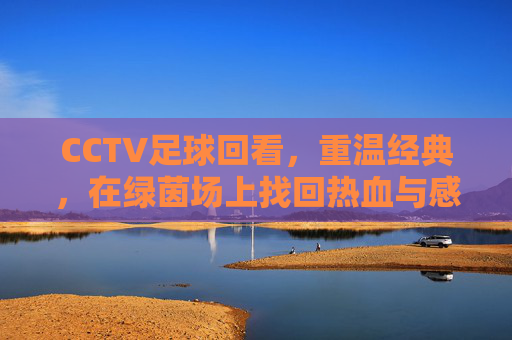 CCTV足球回看，重温经典，在绿茵场上找回热血与感动