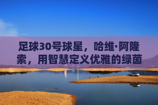 足球30号球星，哈维·阿隆索，用智慧定义优雅的绿茵诗人