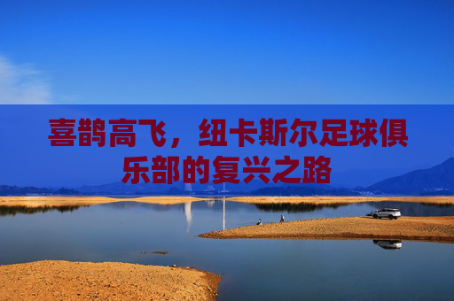 喜鹊高飞，纽卡斯尔足球俱乐部的复兴之路