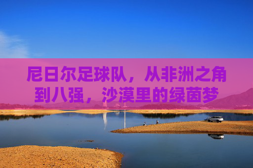 尼日尔足球队，从非洲之角到八强，沙漠里的绿茵梦