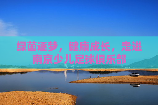 绿茵逐梦，健康成长，走进南京少儿足球俱乐部