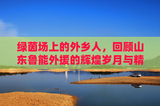 绿茵场上的外乡人，回顾山东鲁能外援的辉煌岁月与精神传承