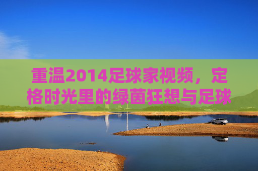 重温2014足球家视频，定格时光里的绿茵狂想与足球记忆