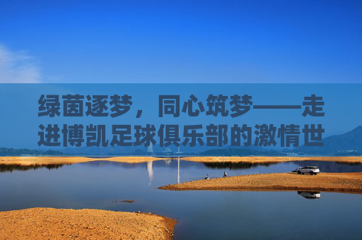 绿茵逐梦，同心筑梦——走进博凯足球俱乐部的激情世界