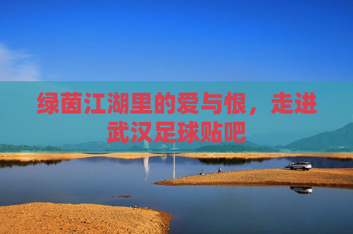 绿茵江湖里的爱与恨，走进武汉足球贴吧