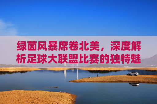 绿茵风暴席卷北美，深度解析足球大联盟比赛的独特魅力与崛起之路
