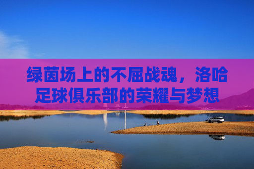 绿茵场上的不屈战魂，洛哈足球俱乐部的荣耀与梦想