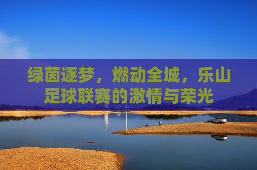 绿茵逐梦，燃动全城，乐山足球联赛的激情与荣光