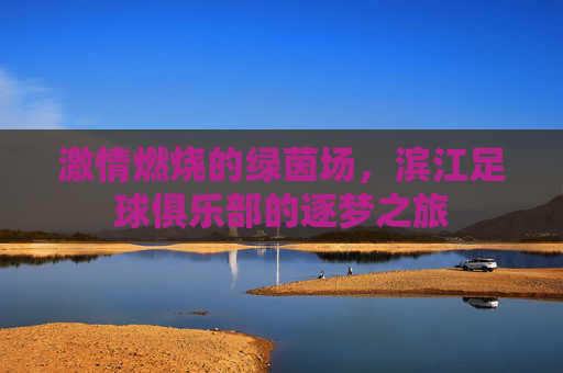激情燃烧的绿茵场，滨江足球俱乐部的逐梦之旅
