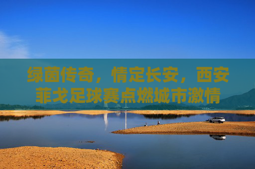 绿茵传奇，情定长安，西安菲戈足球赛点燃城市激情