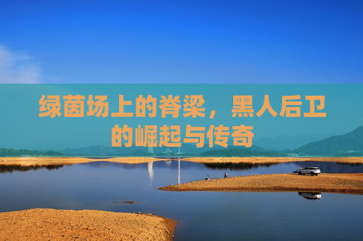 绿茵场上的脊梁，黑人后卫的崛起与传奇