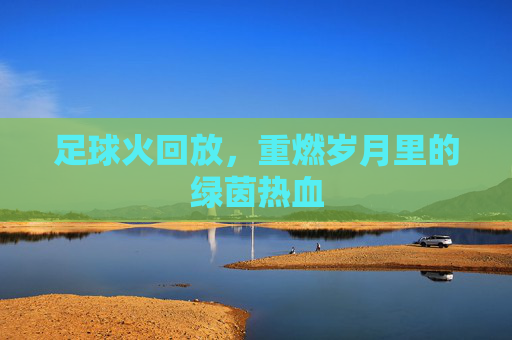 足球火回放，重燃岁月里的绿茵热血