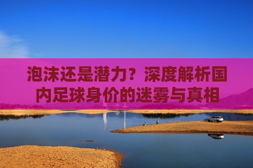 泡沫还是潜力？深度解析国内足球身价的迷雾与真相