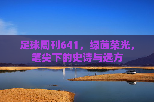 足球周刊641，绿茵荣光，笔尖下的史诗与远方