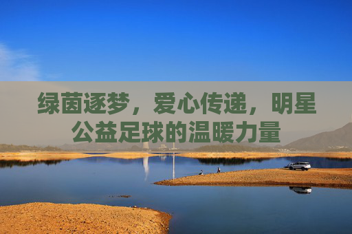 绿茵逐梦，爱心传递，明星公益足球的温暖力量