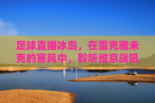 足球直播冰岛，在雷克雅未克的寒风中，聆听维京战吼的回响
